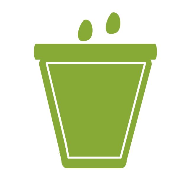 semer des graines de concombre avec les enfants